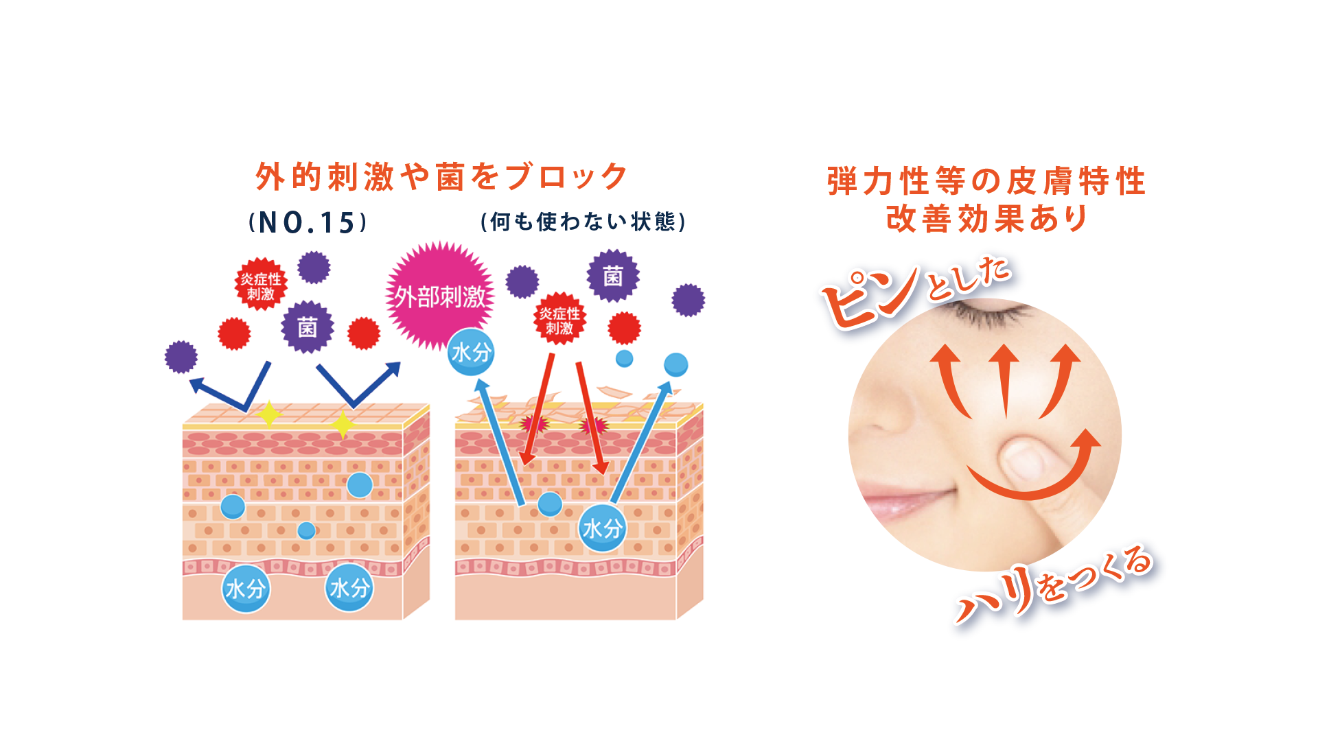 亜塩素酸Na　外的刺激や菌をブロック(NO.15)(何も使わない状態)、弾力性等の皮膚特性改善効果あり　ピンとしたハリをつくる。