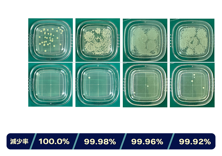 菌数：37→0 減少率：100.0％、菌数：5,000→1 減少率：99.98％、菌数：5,000→2 減少率：99.96％、菌数：5,000→4 減少率：99.92％